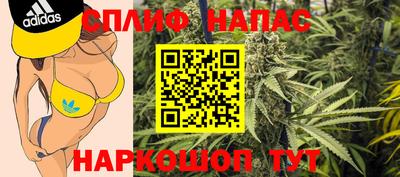 ALPHA PVP Моздок