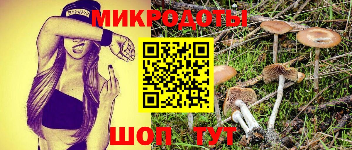 Псилоцибиновые грибы мухоморы Алатырь