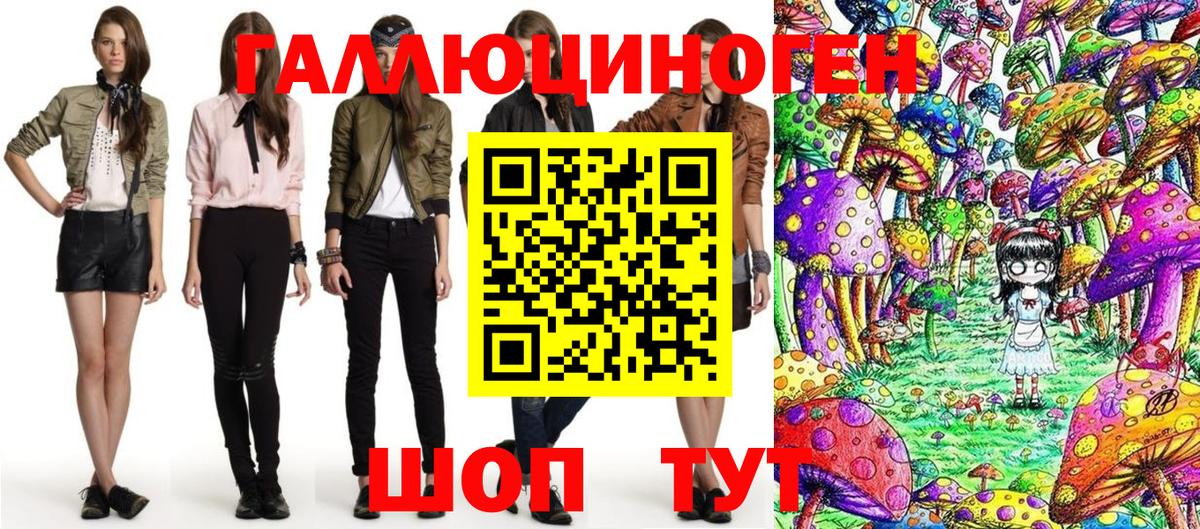 Псилоцибиновые грибы Psilocybine cubensis  Вход с VPN  Алатырь 