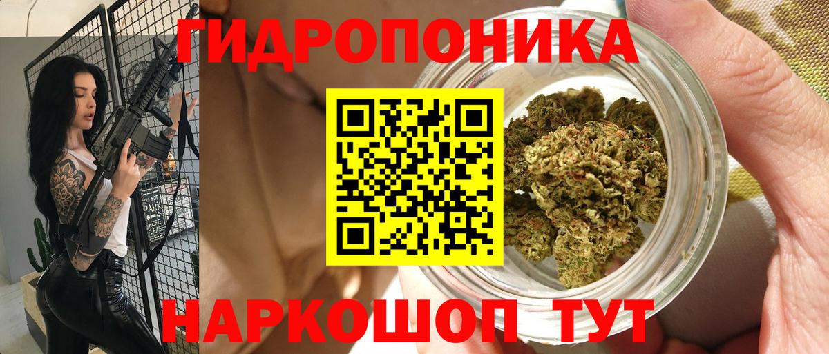 Бошки Шишки марихуана  Бошки Шишки тримм  Шишки марихуана THC 21%  Алатырь  Вход с VPN 